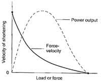 force velocity curve